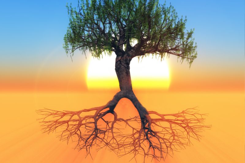 Women's Mental Health and Empowerment