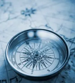 Life Transitions & Career Development