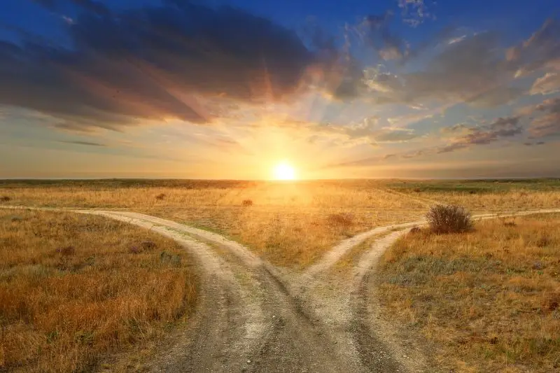 Life Transitions & Career Development